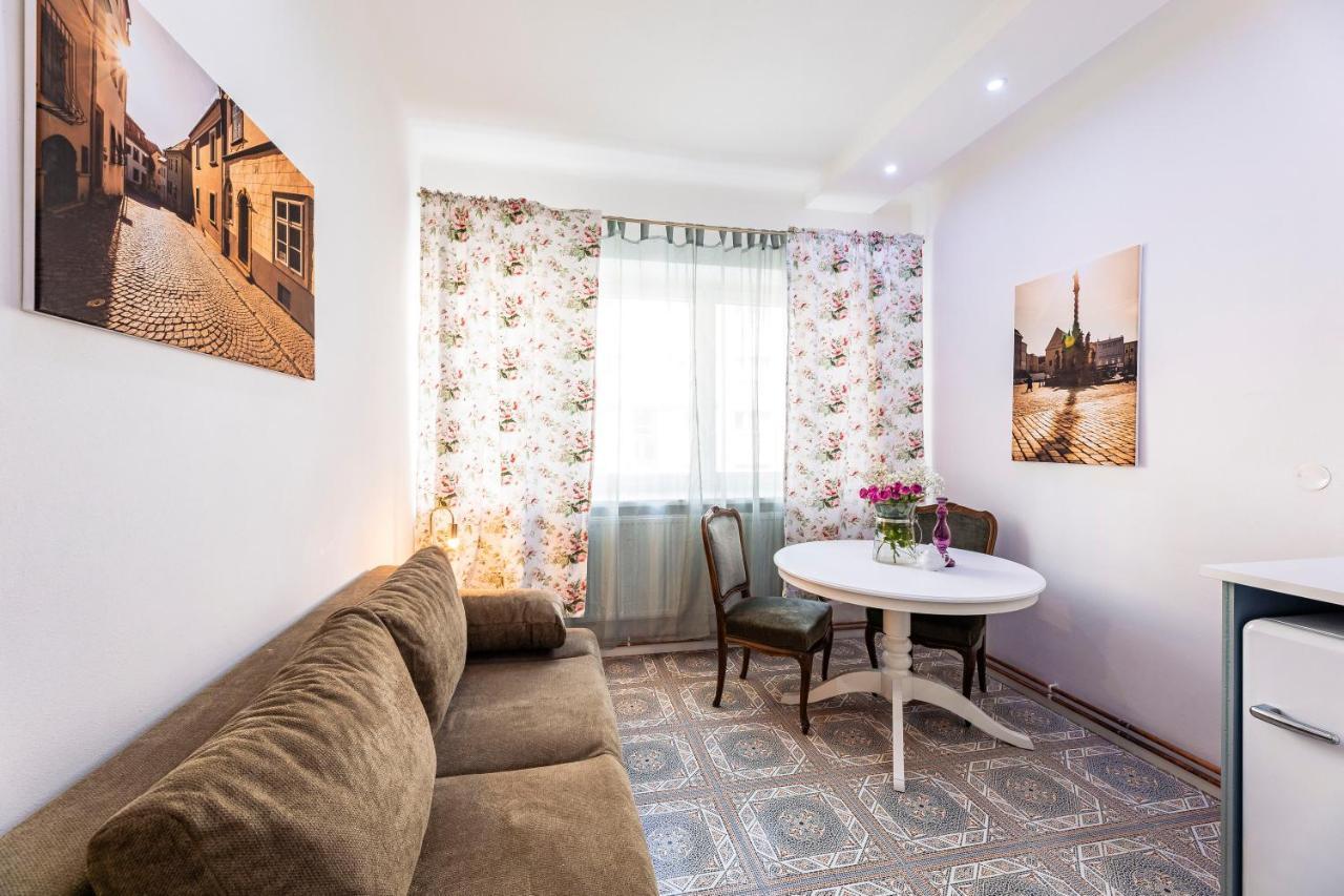 Silvie Apartments - Masaryk Dolni Ołomuniec Zewnętrze zdjęcie